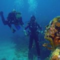SCUBA DIVING